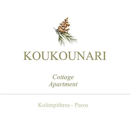 Koukounari Paros 纳乌萨