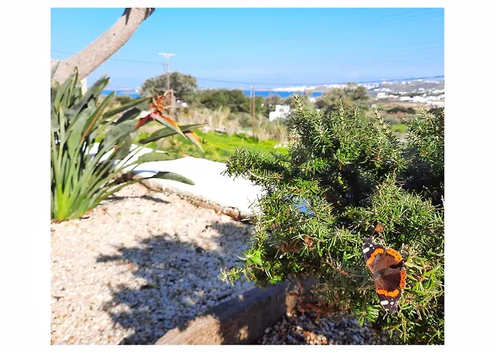 Koukounari Paros 아파트