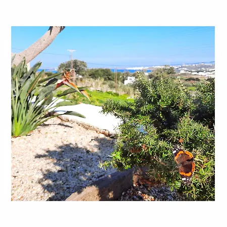 Koukounari Paros Apartamento