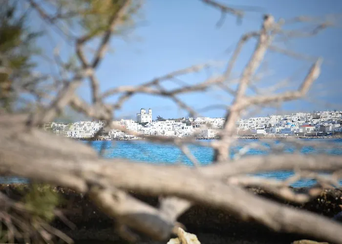 דירה Koukounari Paros נאוסה